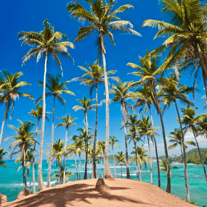 Udawalawe to Mirissa