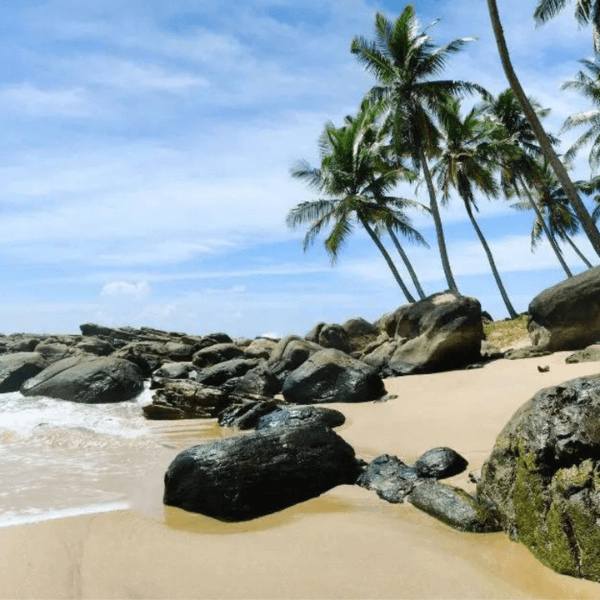 Udawalawe to Tangalle